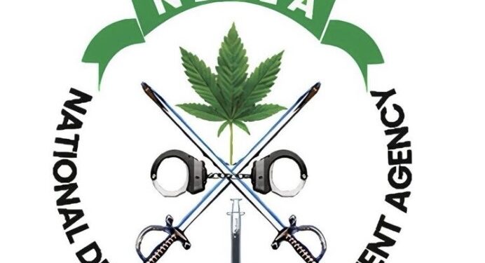 NDLEA Debunks Fake Auction Offers, Warns Public to Stay Vigilant
