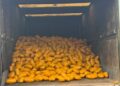 Troops Intercept Truck Loaded With Illicit Drugs Along Lagos–Calabar Coastal Road