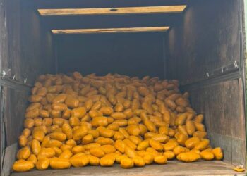 Troops Intercept Truck Loaded With Illicit Drugs Along Lagos–Calabar Coastal Road