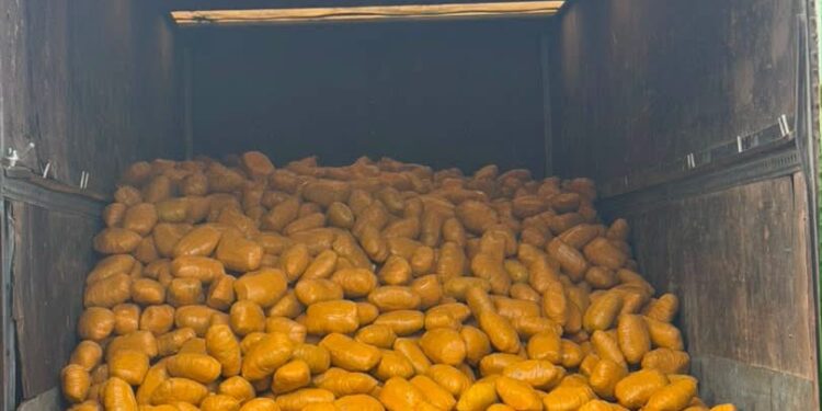 Troops Intercept Truck Loaded With Illicit Drugs Along Lagos–Calabar Coastal Road