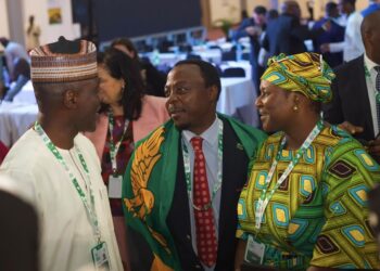 Nigeria Rallies African Unity Ahead of Key Global Telecommunications Elections