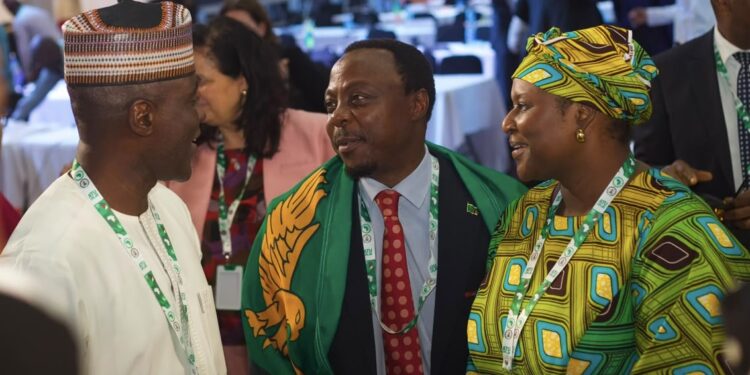 Nigeria Rallies African Unity Ahead of Key Global Telecommunications Elections