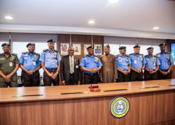 “Every Weapon Recovered and Destroyed Makes Nigeria Safer” – IGP Disu