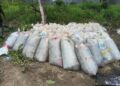 Nigerian Navy Busts Major Illegal Refining Network, Recovers 205,680 Litres of Stolen Petroleum Products