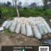 Nigerian Navy Busts Major Illegal Refining Network, Recovers 205,680 Litres of Stolen Petroleum Products