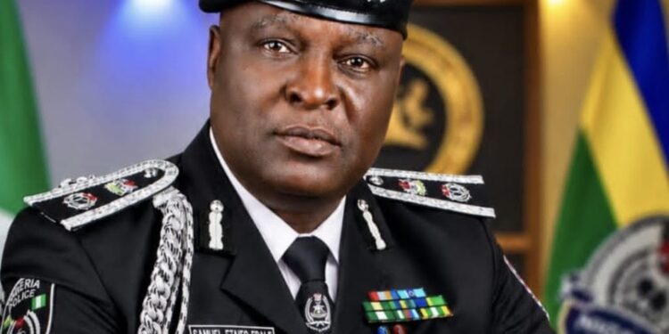 Osun Governorship Election: Police Appoint CP Samuel Etaifo to Lead Security Operations