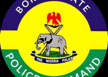 Borno Police Arrest 65 Suspects, Recover Large Quantities of Illicit Drugs in Maiduguri Raids