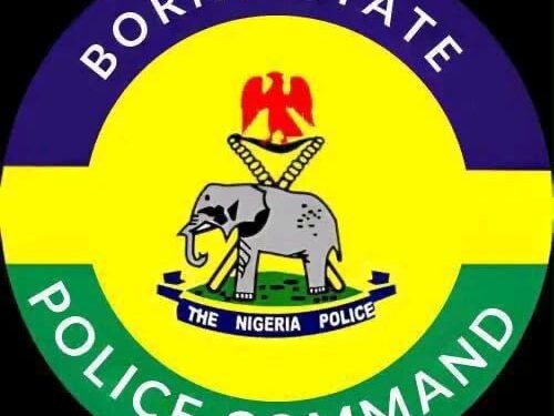 Borno Police Arrest 65 Suspects, Recover Large Quantities of Illicit Drugs in Maiduguri Raids