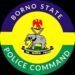 Borno Police Arrest 65 Suspects, Recover Large Quantities of Illicit Drugs in Maiduguri Raids