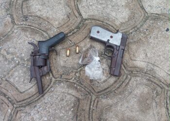 Bayelsa Police Arrest Two Suspected Cultists, Recover Firearms After Deadly Amassoma Attack