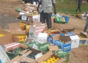Troops Disrupt Suspected Terrorist Supply Network, Arrest Six in Borno