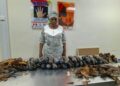 NDLEA Arrests Nigerian-British Grandmother Over 13kg Cocaine Hidden in Plantain Peels, Dismantles International Drug Syndicate