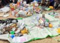 Yobe Police Arrest 14 Suspected Drug Dealers, Recover Large Cache of Illicit Drugs
