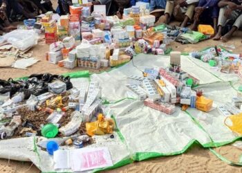 Yobe Police Arrest 14 Suspected Drug Dealers, Recover Large Cache of Illicit Drugs