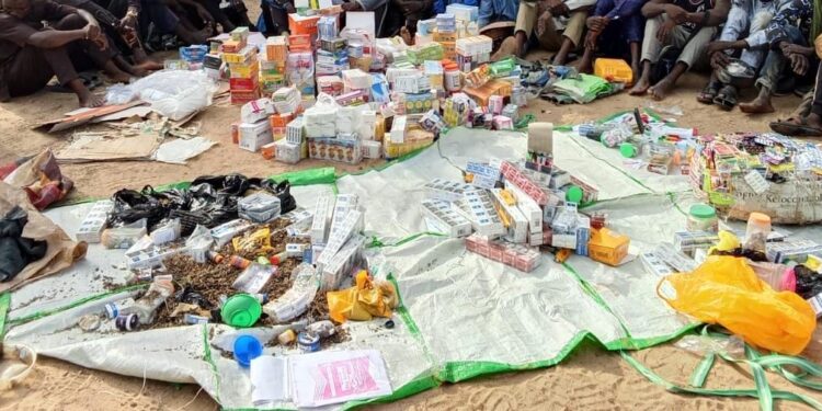 Yobe Police Arrest 14 Suspected Drug Dealers, Recover Large Cache of Illicit Drugs