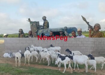 Troops Rescue Nine Abductees as Terrorists Abandon 56 Rustled Livestock