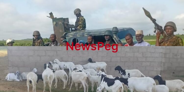 Troops Rescue Nine Abductees as Terrorists Abandon 56 Rustled Livestock