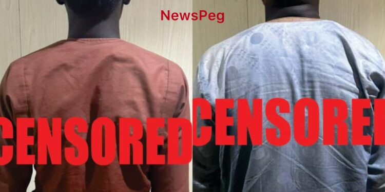 Two Senior Terrorist Commanders Surrender, Provide Valuable Intelligence to Troops