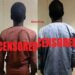 Two Senior Terrorist Commanders Surrender, Provide Valuable Intelligence to Troops