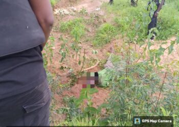 Troops Rescue Abducted Construction Workers, Neutralise Terrorists In Katsina, Kebbi