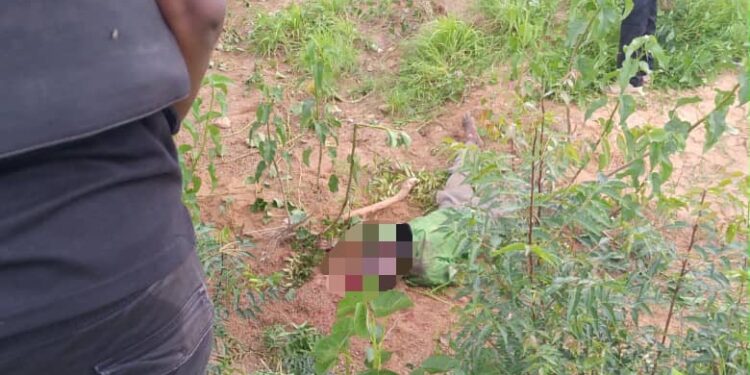 Troops Rescue Abducted Construction Workers, Neutralise Terrorists In Katsina, Kebbi