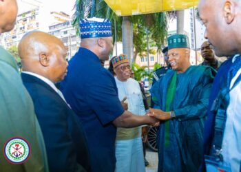 Diaspora Visits: Defence Minister Assures Nigerians Of Improved National Security