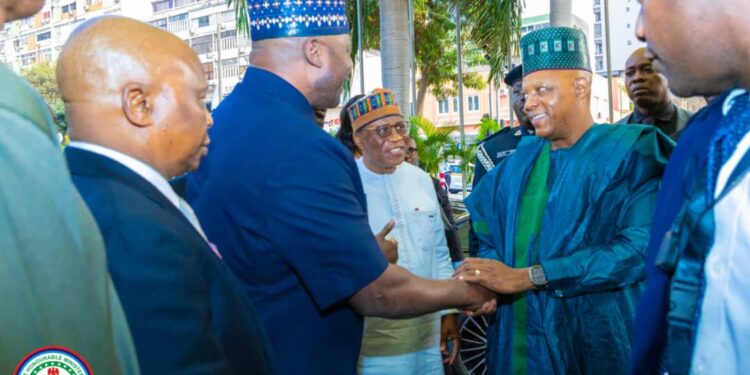 Diaspora Visits: Defence Minister Assures Nigerians Of Improved National Security