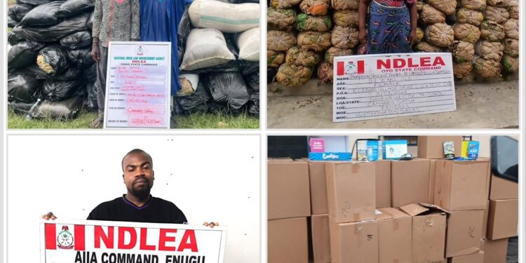 NDLEA Intercepts Cocaine In Phone Chargers, Backpack As Italy-Bound Businessman Excretes 98 Wraps At Enugu Airport