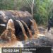 Navy Ramps Up Anti-Oil Theft Operations, Destroys Illegal Refining Infrastructure in Rivers