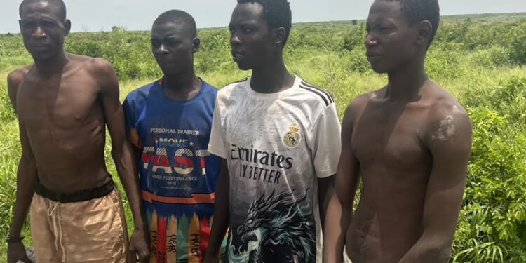 Troops Foil Terrorist Attacks, Rescue 10 Kidnap Victims In North-West