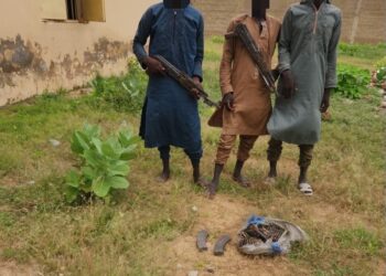 OPHK Records Sharp Rise In Terrorist Surrenders Amid Sustained Military Pressure