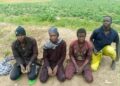 Operation Hadin Kai Records Sharp Rise In Terrorist Surrenders Across North-East
