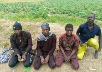 Operation Hadin Kai Records Sharp Rise In Terrorist Surrenders Across North-East