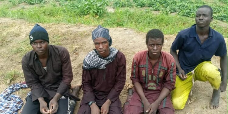 Operation Hadin Kai Records Sharp Rise In Terrorist Surrenders Across North-East