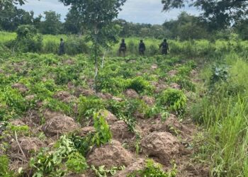 Troops Thwart Armed Herders’ Assault On Benue Village