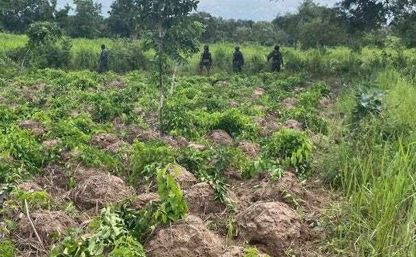 Troops Thwart Armed Herders’ Assault On Benue Village