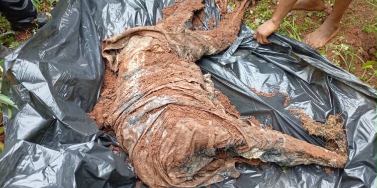 Military Intelligence Leads to Recovery of Slain Community Leader’s Remains in Imo Forest