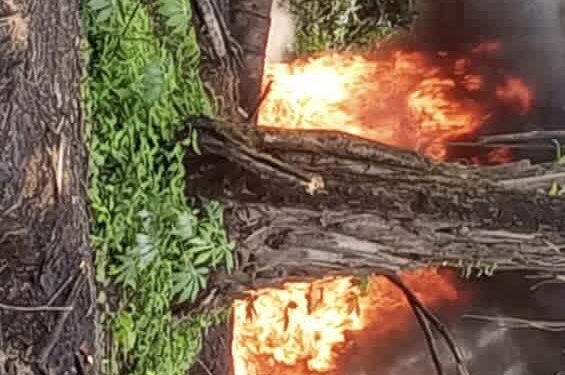 Operation DELTA SENTINEL Records Fresh Blow Against Crude Oil Thieves in Rivers