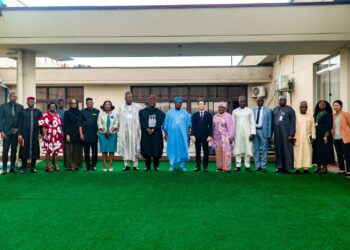 Nigeria Seeks Stronger Economic Partnership With Japan, Woos More Investors