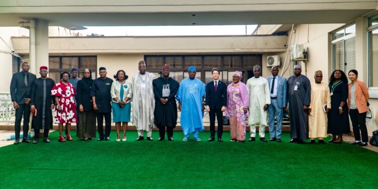 Nigeria Seeks Stronger Economic Partnership With Japan, Woos More Investors