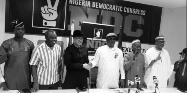 Pat Utomi, Buba Galadima to Head NDC Reconciliation Committee Ahead of 2027 Polls