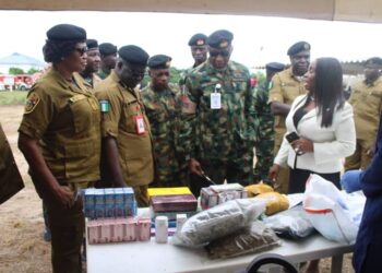 Navy, NDLEA Step Up War Against Drug Trafficking, Destroy ₦301bn Drugs