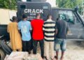 Borno Police Arrest Five, Probe Alleged Sale of Meat From Dead Cattle