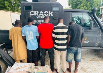 Borno Police Arrest Five, Probe Alleged Sale of Meat From Dead Cattle