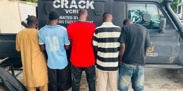Borno Police Arrest Five, Probe Alleged Sale of Meat From Dead Cattle