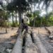 Illegal Refining: Navy Disrupts Three Sites, Recovers 103,000 Litres In Rivers