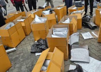 NDLEA Uncovers Thai Loud Trafficking Route, Seizes 1.49 Tonnes At Lagos Ports