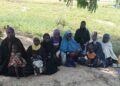 Operation HADIN KAI Sustains Pressure, Secures Voluntary Surrender of 17 JAS Family Members