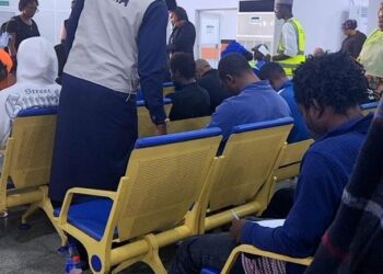 NEMA, Stakeholders Coordinate Safe Return of 37 Nigerians Repatriated From Türkiye