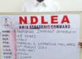 NDLEA Intercepts India-Bound Cocaine Courier, Seizes N3.6bn Drugs In Nationwide Raids
